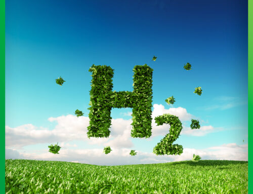 THE FUTURE OF GREEN HYDROGEN